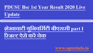 PDUSU Bsc Result 2020 1st/ 2nd/ 3rd Year LIVE Updates @ www.univexam.com