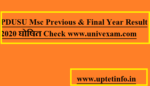 PDUSU Msc Previous & Final Year Result 2020