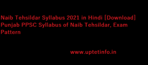 Naib Tehsildar Syllabus 2021 in Hindi