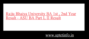 Rajju Bhaiya University BA 1st 2nd Year Result 2021