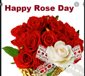 Rose Day Shayari for GF