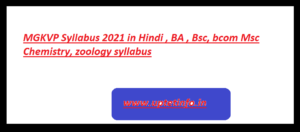 MGKVP Syllabus 2021 in Hindi