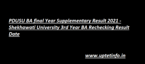 PDUSU BA final Year Supplementary Result 2021
