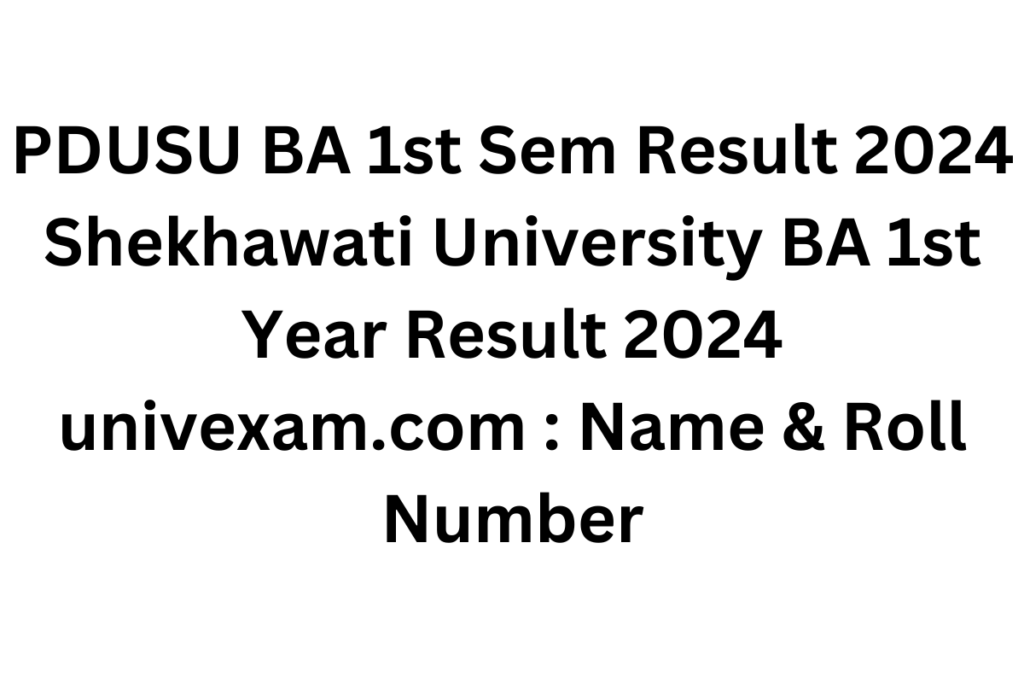 PDUSU BA 1st Sem Result 2024