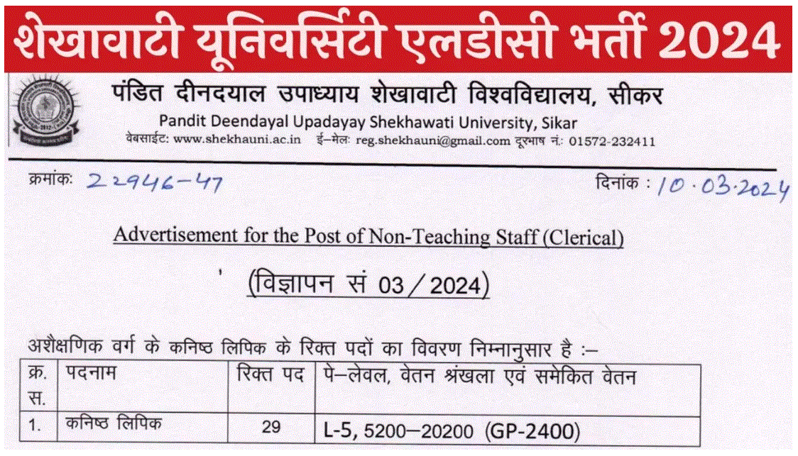 Shekhawati University LDC Recruitment 2024